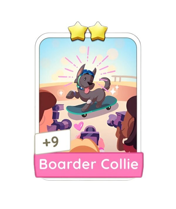 Boarder Collie